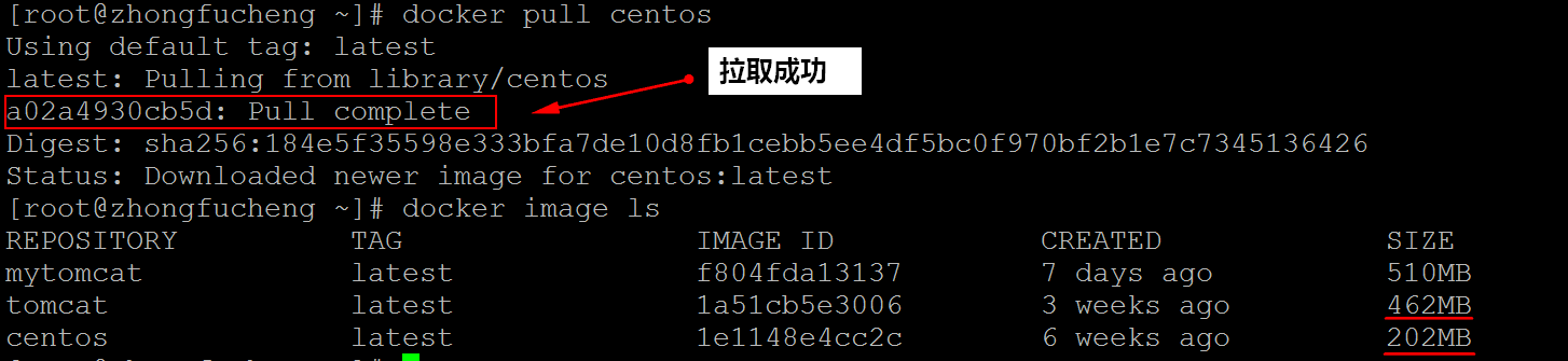 从Hub中pull一个Centos