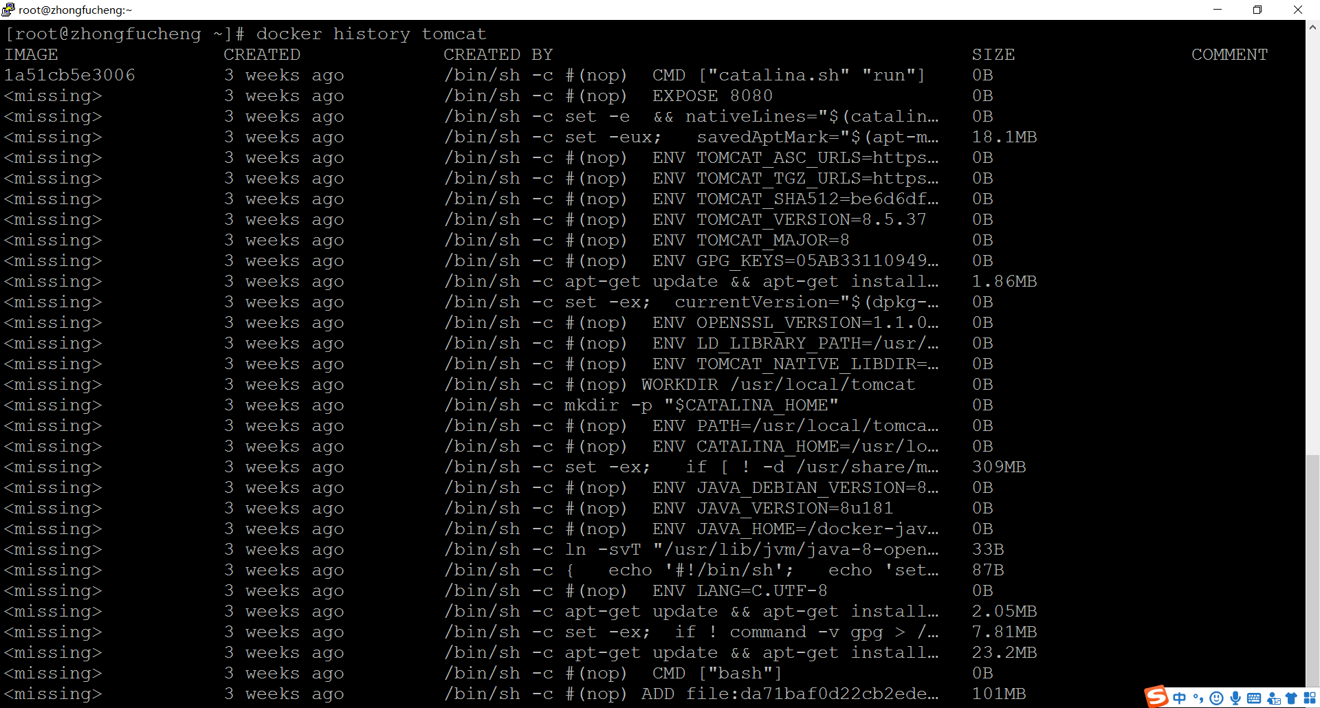 使用history命令可以发现Tomcat包含很多个镜像层